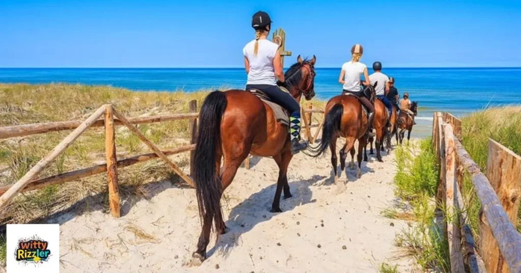 Horse Riding Rizz Pick Up Lines