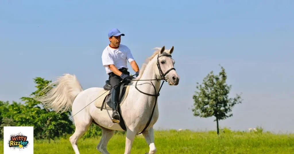 Horse Rizz Lines For Boy
