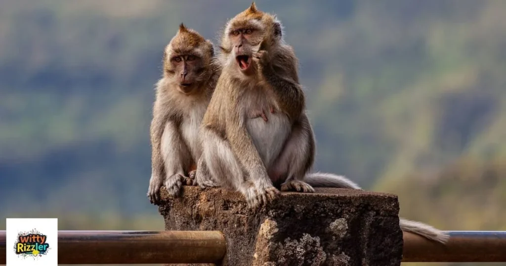 Sarcastic Monkey Pickup lines
