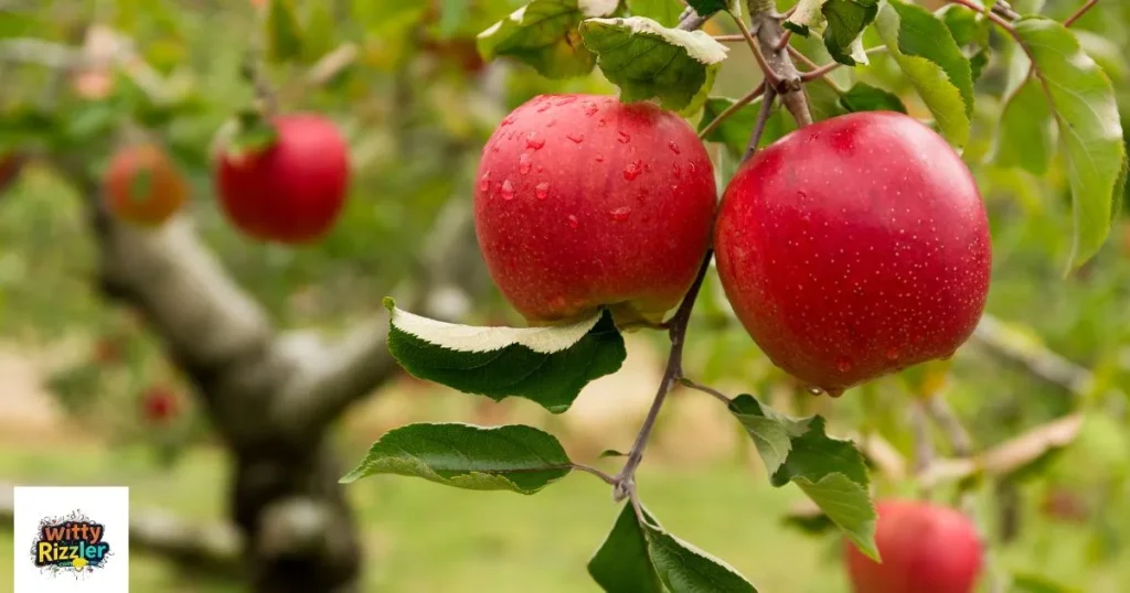 Short Apple Pick Up Lines