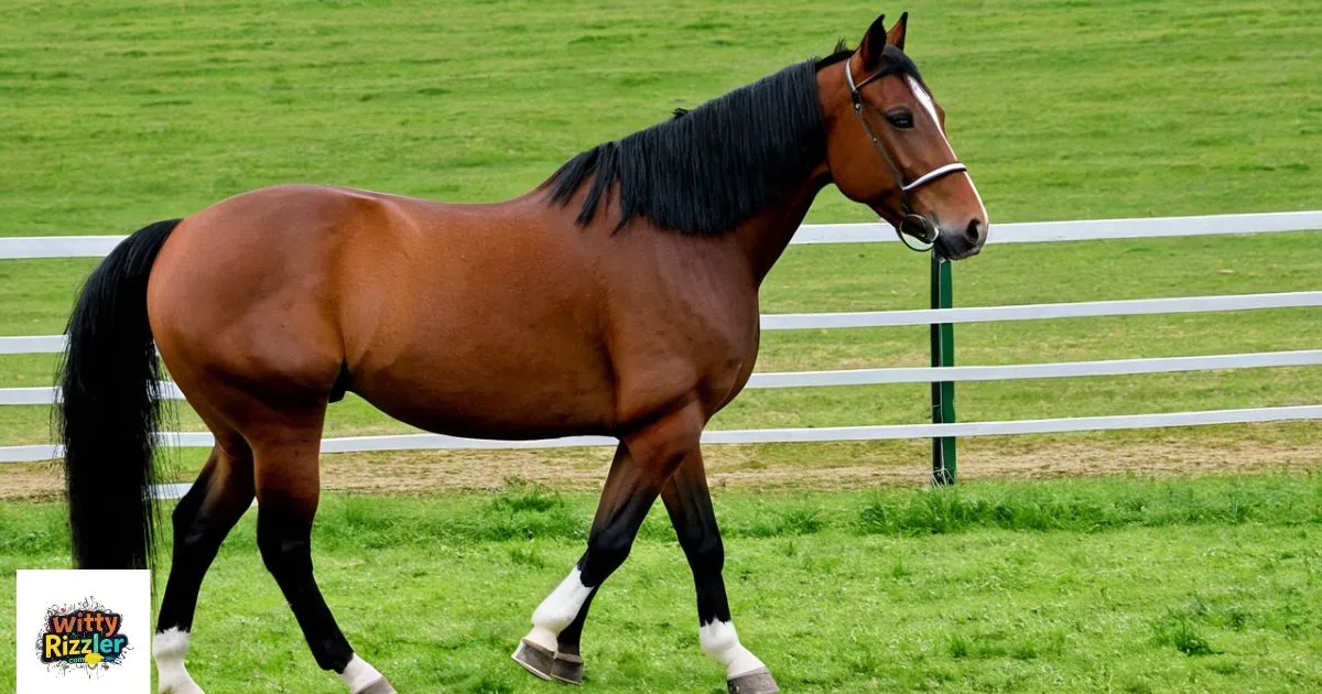 Horse Pick Up Lines